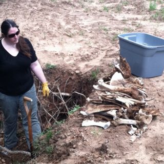 Collecting bones for 'Story Time'