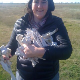 Collecting bones for 'Story Time'