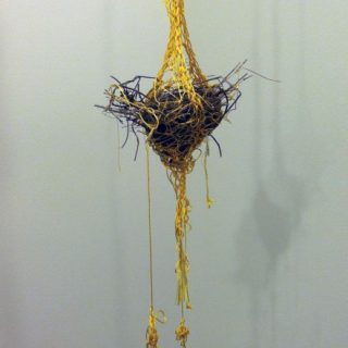 Bird Nest, 2011