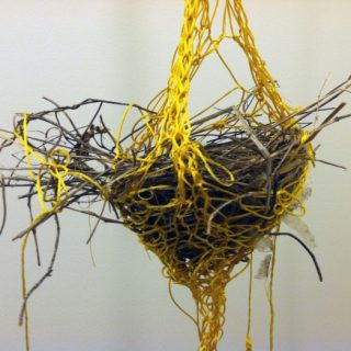 Bird Nest, 2011