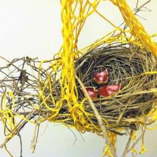 Bird Nest (detail), 2011