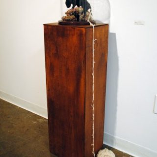 Puppy, 2011