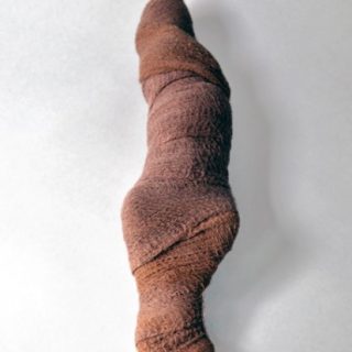 Squirrel Mummy, 2012