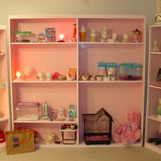 Pet Dreams (dream store), 2006