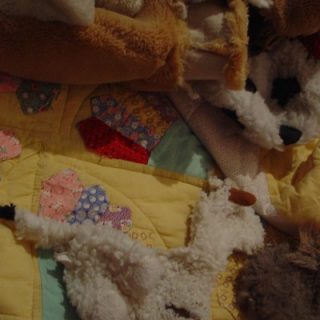 Pet Dreams (bedroom, detail), 2006