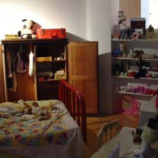 Pet Dreams (bedroom), 2006